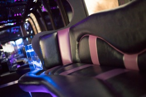 Limo Bus (Interior, Curved Seating, View 2)